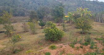  Chácara  em  MG  A VENDA REF 2389