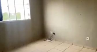 Apartamento com 2 dormitórios REF-  2410